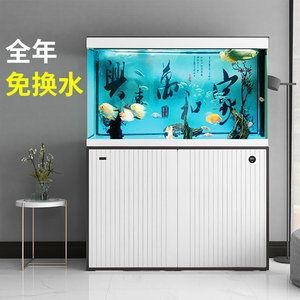 落地魚缸好還是柜式魚缸：落地魚缸與柜式魚缸各有優勢