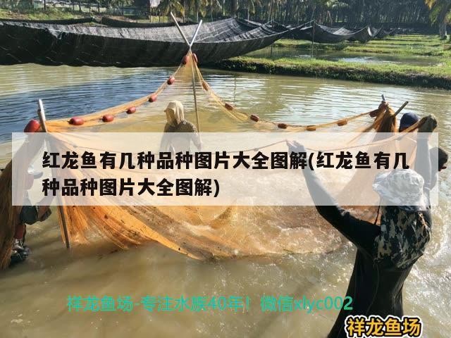 三都水族自治縣唐山天天安智能隱形防護盜網店