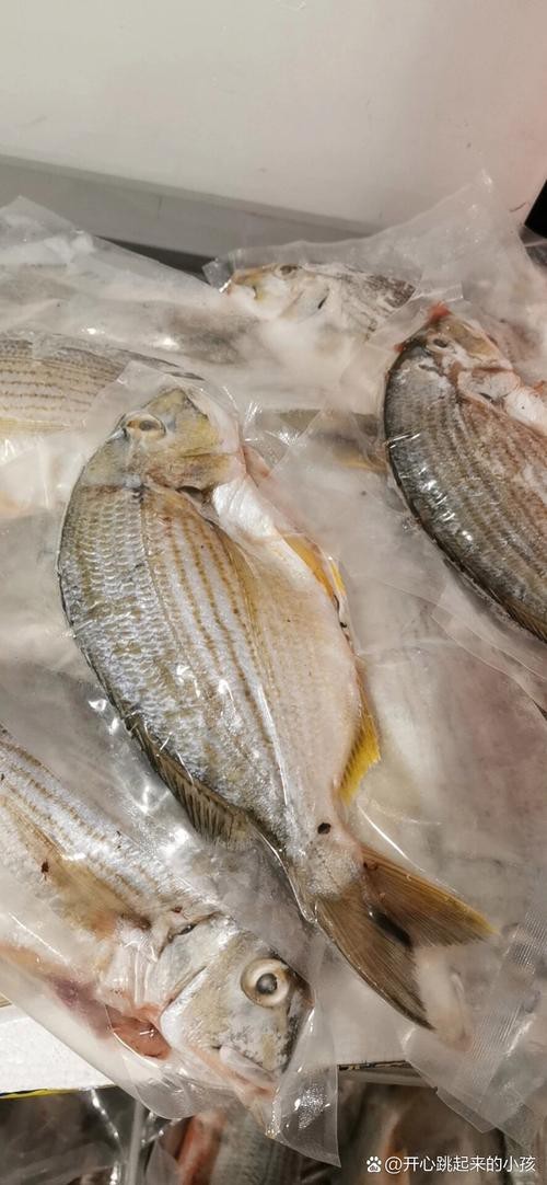 赤瞳黃龍魚圖片大全大圖