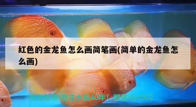 鄂托克旗美雅瓷繡花卉店（鄂托克旗美雅瓷繡花卉店電話）