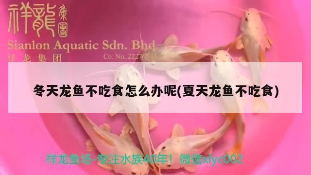 <strong><mark>沁源</mark></strong>縣沁河鎮海軍魚缸店