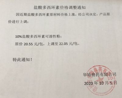 2024年金龍魚調價通知文件下載：2024年金龍魚調價通知文件 2024年金龍魚調價通知文件下載：2024年金龍魚調價通知文件 龍魚百科 第1張