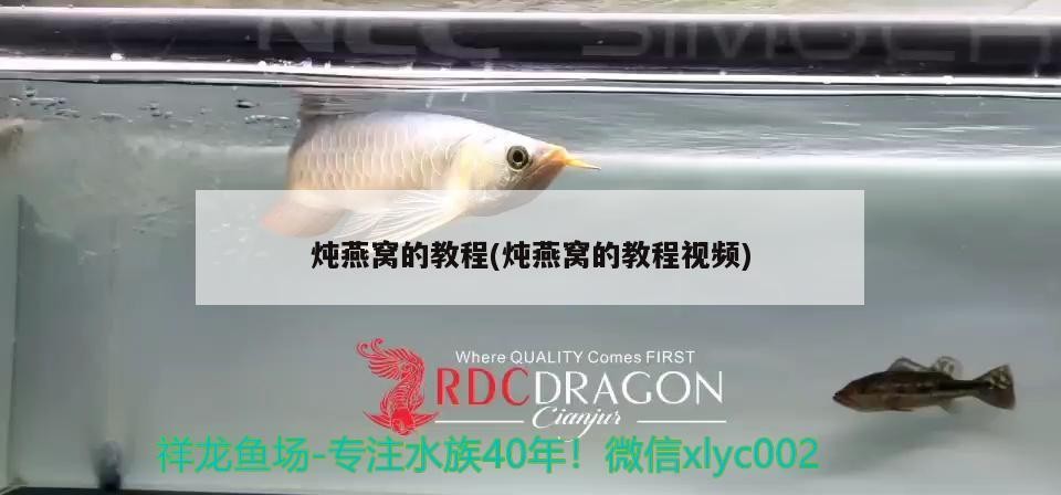 廣州董珠貿易店