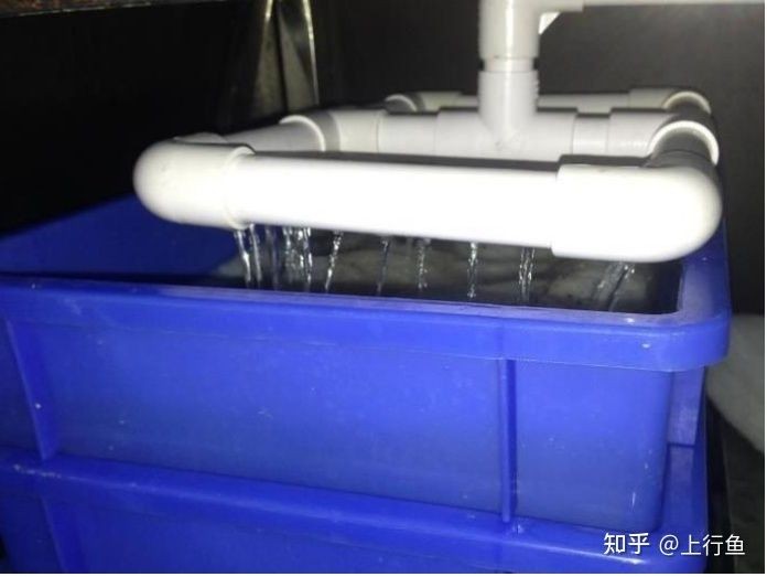 魚缸溢流管外還有個罩子是什么魚缸溢流管外還有個罩子是什么：底濾魚缸溢流管外還有個罩子是什么魚缸溢流管外還有個罩子是什么