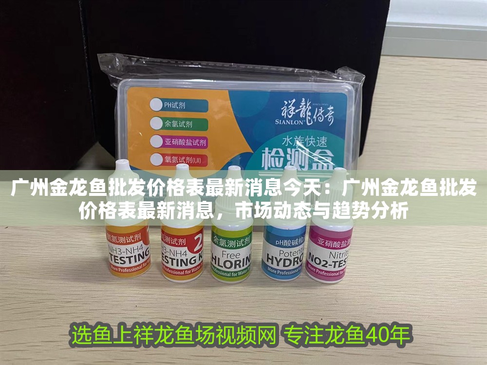 廣州金龍魚批發(fā)價格表最新消息今天：廣州金龍魚批發(fā)價格表最新消息，市場動態(tài)與趨勢分析