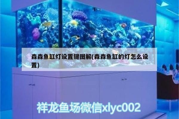 森森魚缸的燈怎么控制：如何控制森森魚缸的燈光 森森魚缸的燈怎么控制：如何控制森森魚缸的燈光 魚缸百科 第3張