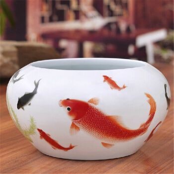淘瓷魚缸圖片：淘瓷魚缸在家居裝修中的應(yīng)用