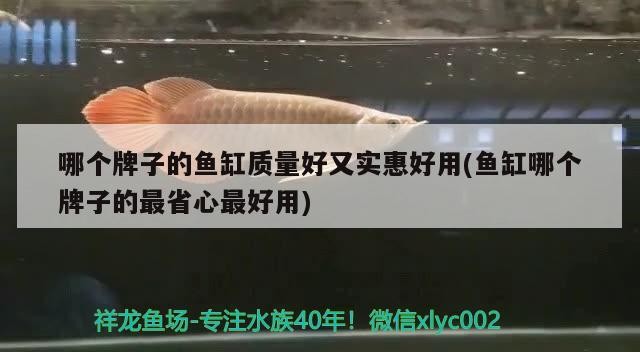 哪個牌子的魚缸質量好又實惠好用(魚缸哪個牌子的最省心最好用)