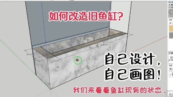 黑影道人魚魚缸布局設計：魚缸風水布局的科學依據(jù)
