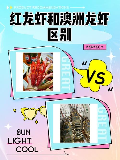 紅龍和澳龍的市場價格如何？