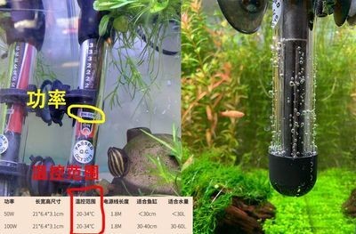 魚缸加熱棒選購指南：魚缸加熱棒功率計算方法