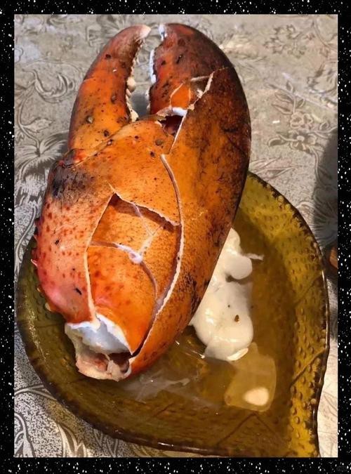 恐龍王魚的最佳混養伙伴有哪些？，恐龍王魚混養搭配清單