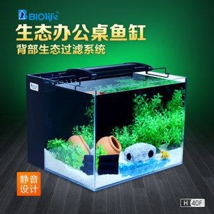 生態(tài)魚(yú)缸的設(shè)計(jì)原理：個(gè)性化生態(tài)魚(yú)缸的維護(hù)與管理生態(tài)魚(yú)缸的維護(hù)與管理