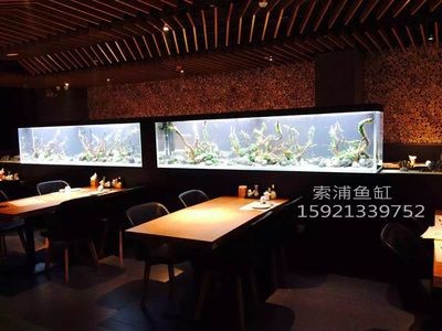 生態(tài)魚(yú)缸的設(shè)計(jì)原理：個(gè)性化生態(tài)魚(yú)缸的維護(hù)與管理生態(tài)魚(yú)缸的維護(hù)與管理