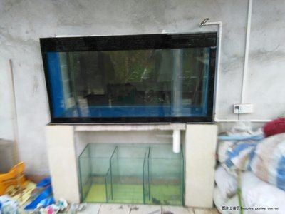 魚缸設(shè)備安裝視頻教程圖解：魚缸設(shè)備安裝視頻教程全集大全 魚缸設(shè)備安裝視頻教程圖解：魚缸設(shè)備安裝視頻教程全集大全 魚缸百科 第2張