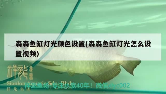 森森魚缸怎么開燈：森森魚缸如何開啟照明