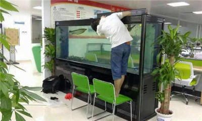 家用魚缸維修（家用魚缸的維修）