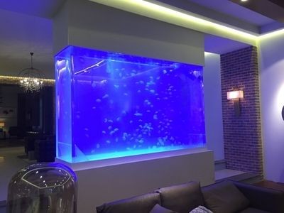 底過濾魚缸與上濾魚缸的區別：家庭養魚的風水講究