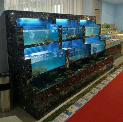 生態魚缸的造價標準：海洋生態魚缸的造價標準