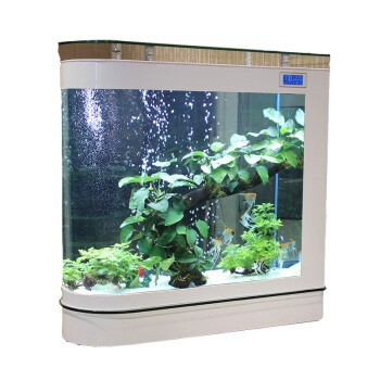 珠海宗興水族有限公司（珠海宗興水族有限公司怎么樣）
