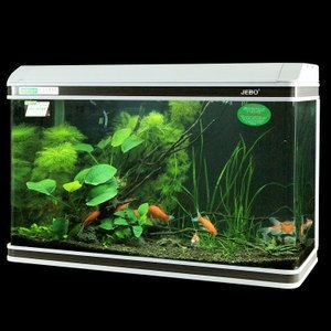 佳寶魚缸型號及價格大全：佳寶魚缸型號及價格