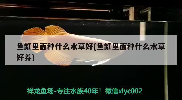 萍鄉市歐陽水族館