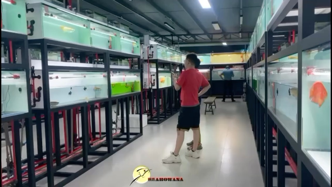 歡迎約起到店挑選