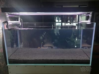 高錳酸鉀消毒魚(yú)缸的比例：高錳酸鉀消毒魚(yú)缸的比例：關(guān)于高錳酸鉀消毒魚(yú)缸的比例