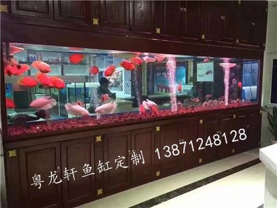 漢川市魚多多水族金魚店提供魚缸銷售相關服務：漢川市有哪些賣魚缸的店鋪？