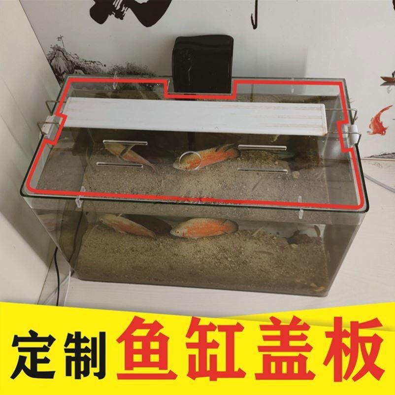 定制的魚缸可以不開孔，有幾種不同的方法可以實現這一目標：不打孔魚缸改造 定制的魚缸可以不開孔，有幾種不同的方法可以實現這一目標：不打孔魚缸改造 魚缸百科 第4張