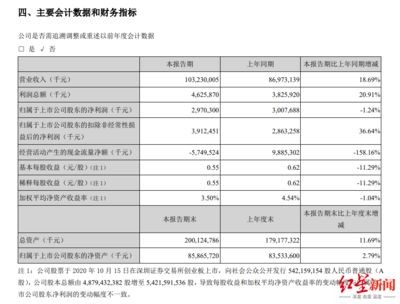 金龍魚控股情況（金龍魚控股情況及其背后的戰略決策）