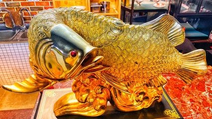 喂龍魚的活飼料魚怎么處理好吃 喂龍魚的活飼料魚怎么處理好吃 龍魚百科 第2張