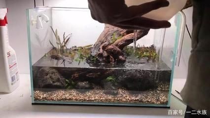 沂源縣歷山街道辦事處吉祥錦鯉水族館（濟(jì)南吉祥錦鯉） 沂源縣歷山街道辦事處吉祥錦鯉水族館（濟(jì)南吉祥錦鯉） 全國水族館企業(yè)名錄 第1張