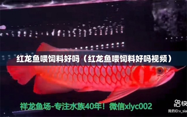 河源市源城區俊標水族館（河源市源城區俊標水族館地址）