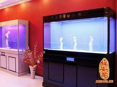 魚缸風水學中的風水布局在風水學中的布局中的應用：家居設計中魚缸擺放有講究