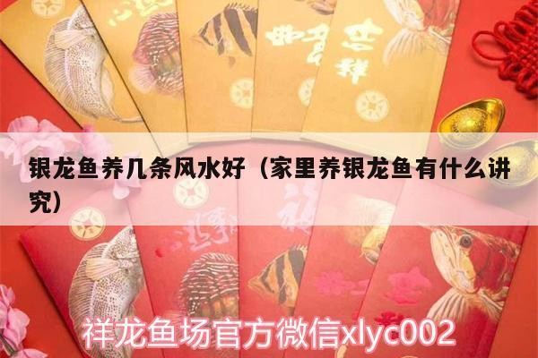 <strong><mark>沈丘</mark></strong>縣佩寧水族（<strong><mark>沈丘</mark></strong>縣佩寧水族館電話）