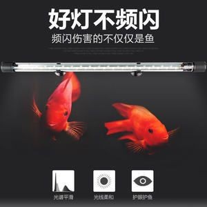 金龍魚魚缸用什么燈好：如何選擇金龍魚魚缸燈具 金龍魚魚缸用什么燈好：如何選擇金龍魚魚缸燈具 龍魚百科 第2張