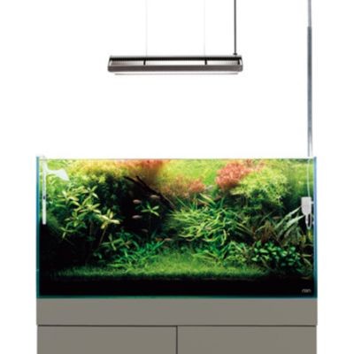 金龍魚魚缸用什么燈好：如何選擇金龍魚魚缸燈具 金龍魚魚缸用什么燈好：如何選擇金龍魚魚缸燈具 龍魚百科 第3張