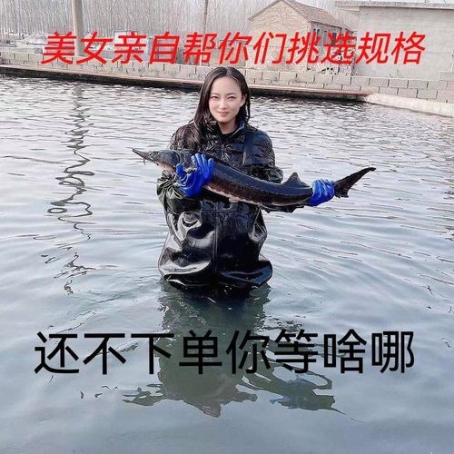 哪里可以購買到健康的龍魚？ 哪里可以購買到健康的龍魚？ 龍魚百科 第2張