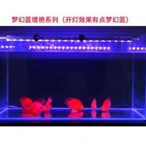 養紅龍魚缸底色濾材選擇應考慮濾材的因素需要考慮：養紅龍魚缸底色濾材選擇