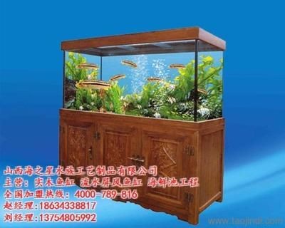 生態魚缸的維護秘籍：山西海之星水族工藝制品有限公司