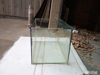 好魚缸和普通魚缸魚缸區(qū)別大嗎圖片（好魚缸和普通魚缸區(qū)別大嗎）