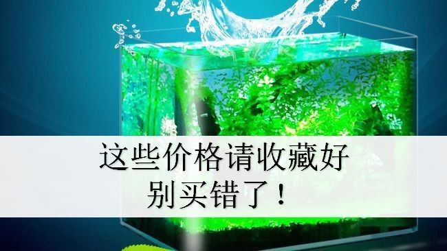 <strong><mark>清徐</mark></strong>縣徐溝宇鑫漁具經銷部（<strong><mark>清徐</mark></strong>縣徐溝宇鑫漁具經銷部電話）