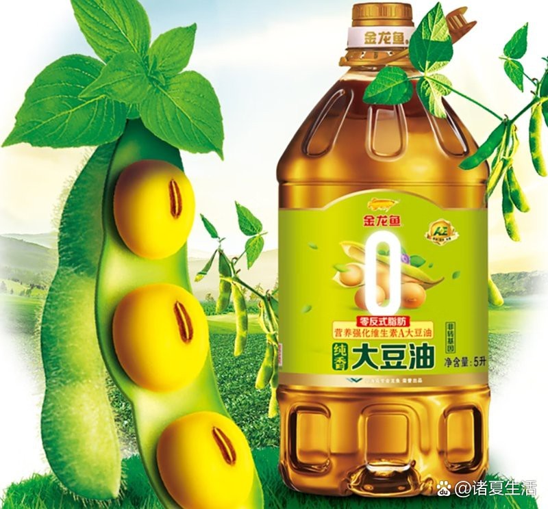 金龍魚非專利技術如何保護 金龍魚非專利技術如何保護 龍魚百科 第1張