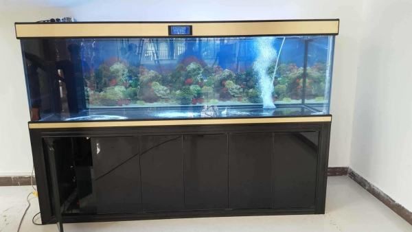 魚缸過濾排行榜：2018魚缸過濾器十大品牌排行榜