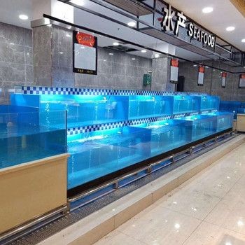 海寧魚缸如何選擇：亞克力魚缸養(yǎng)護(hù)秘籍亞克力魚缸養(yǎng)護(hù)秘籍亞克力魚缸 海寧魚缸如何選擇：亞克力魚缸養(yǎng)護(hù)秘籍亞克力魚缸養(yǎng)護(hù)秘籍亞克力魚缸 魚缸百科 第3張