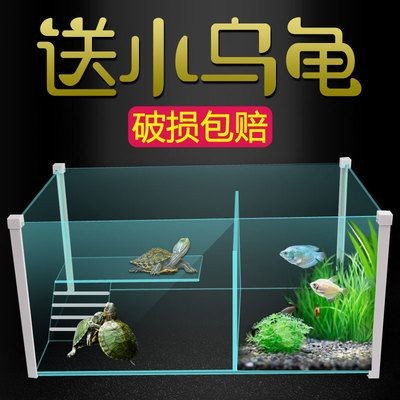 觀賞魚混養觀賞魚需要注意的誤區在混養觀賞魚的重要因素：混養觀賞魚混養觀賞魚需要注意什么
