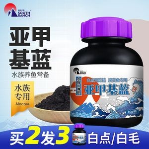 養龍魚常備藥物有哪些（養龍魚時常備的藥品包括鹽、黃粉、呋喃西林、呋喃西林）