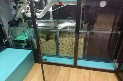 店鋪魚缸怎么擺（店鋪魚缸擺放風(fēng)水學(xué)）