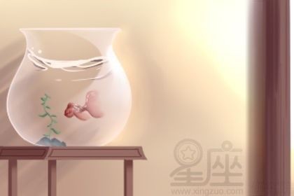 魚缸與爐灶沖突的化解方法：魚缸與爐灶的沖突是家居風水中常見的問題